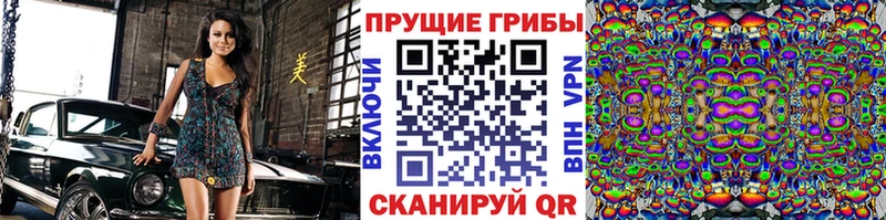Псилоцибиновые грибы GOLDEN TEACHER  где найти наркотики  площадка формула  Лабинск 